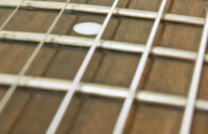 Guitar strings on a guitar fretboard.