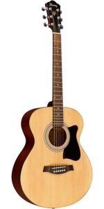 Ibanez acoustic guitar